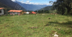 EN VENTA CUATRO ENCANTOS CAMPESTRES EN UNA SOLA INVERSIÓN  SECTOR LA CÚLATA MÉRIDA – VENEZUELA EN VENTA CUATRO ENCANTOS CAMPESTRES EN UNA SOLA INVERSIÓN  SECTOR LA CÚLATA MÉRIDA – VENEZUELA