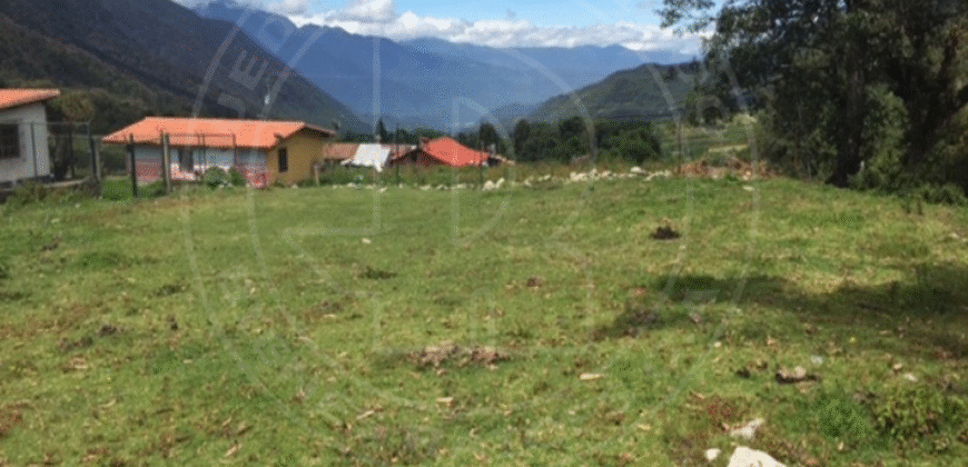 EN VENTA CUATRO ENCANTOS CAMPESTRES EN UNA SOLA INVERSIÓN  SECTOR LA CÚLATA MÉRIDA – VENEZUELA EN VENTA CUATRO ENCANTOS CAMPESTRES EN UNA SOLA INVERSIÓN  SECTOR LA CÚLATA MÉRIDA – VENEZUELA