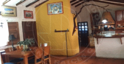 EN VENTA CUATRO ENCANTOS CAMPESTRES EN UNA SOLA INVERSIÓN  SECTOR LA CÚLATA MÉRIDA – VENEZUELA EN VENTA CUATRO ENCANTOS CAMPESTRES EN UNA SOLA INVERSIÓN  SECTOR LA CÚLATA MÉRIDA – VENEZUELA