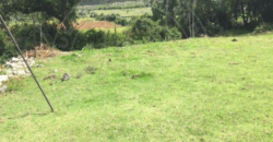 EN VENTA CUATRO ENCANTOS CAMPESTRES EN UNA SOLA INVERSIÓN  SECTOR LA CÚLATA MÉRIDA – VENEZUELA EN VENTA CUATRO ENCANTOS CAMPESTRES EN UNA SOLA INVERSIÓN  SECTOR LA CÚLATA MÉRIDA – VENEZUELA