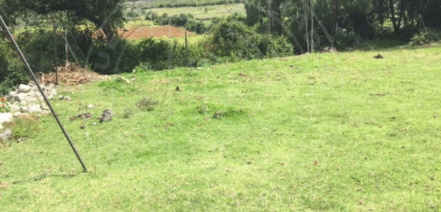 EN VENTA CUATRO ENCANTOS CAMPESTRES EN UNA SOLA INVERSIÓN  SECTOR LA CÚLATA MÉRIDA – VENEZUELA EN VENTA CUATRO ENCANTOS CAMPESTRES EN UNA SOLA INVERSIÓN  SECTOR LA CÚLATA MÉRIDA – VENEZUELA