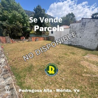 EN VENTA PARCELA EN LA PEDREGOSA ALTA MÉRIDA – VENEZUELA