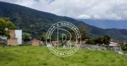 SE VENDE PARCELA EN EL ARADO B  EL VALLE MÉRIDA VE